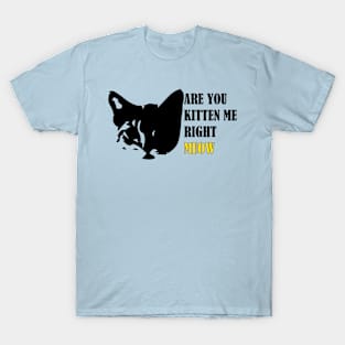 Are You Kitten Me Right Meow T-Shirt